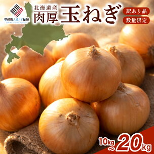 数量限定 訳あり 玉ねぎ 10~20kg 選べる 【R7...
