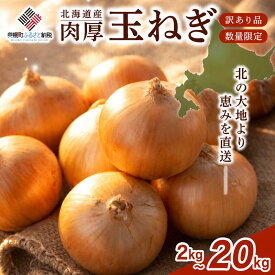 【ふるさと納税】 数量限定 訳あり 玉ねぎ 2kg~20kg 選べる【 先行予約 R8年度産 訳あり・Lサイズ／2026年10月上旬より順次発送】 人気 ランキング 玉ねぎ 国産 野菜 北海道 美幌町