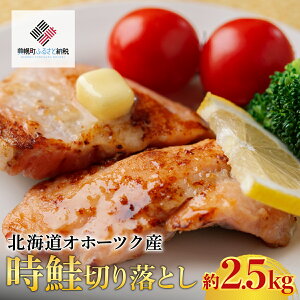 yӂ邳Ɣ[Łzystz kCIz[cNY ؂藎Ƃ 2.5kg i2025N11{菇jy ӂ邳Ɣ[ lC  LO  TP VP ؐg Ⴏ ٓ  