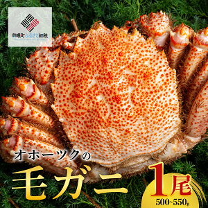 yӂ邳Ɣ[ŁzIz[cN̖уKj@[500g`550g×1]yzsnFz  Jj I уKj kC y  BHRI002