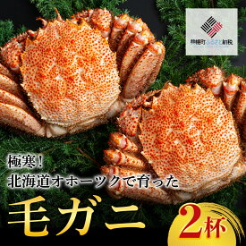 【ふるさと納税】＜限定＞極寒！北海道オホーツクで育った ”毛ガニ” 2杯 かに カニ 蟹 毛ガニ 北海道 美幌町 送料無料 BHRI032