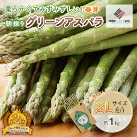 【ふるさと納税】2026年産 柔らかくて瑞々しい朝取りグリーンアスパラ(春芽)2L 1kg【配送不可地域：離島】 アスパラ 野菜 健康 北海道 美幌町 送料無料 BHRG029