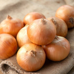 yӂ邳Ɣ[Łzyʌ󂠂izʂ˂STCYE10kgi2025N12{珇j y ӂ邳Ɣ[ lC  LO ʂ˂ ܂˂ ^}lM 󂠂  킯 kC