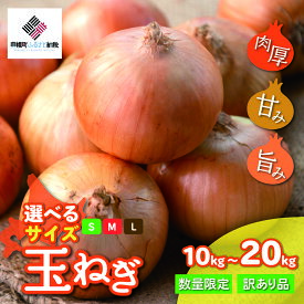 【ふるさと納税】【令和8年産 先行予約】玉ねぎ 選べるサイズ 10kg ～ 20kg（2026年10月上旬より順次発送）【 ふるさと納税 人気 おすすめ ランキング たまねぎ 玉ねぎ 玉ネギ タマネギ 玉葱 オニオン サラダ 焼き肉 BBQ スープ 国産 野菜 北海道 美幌町 送料無料 】