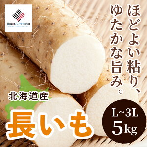 yӂ邳Ɣ[Łz[st]uʌvE5kgyzsnFzi2025N11{菇jy ӂ邳Ɣ[  LO lC      Ƃ Iz