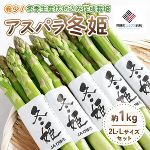 yӂ邳Ɣ[Łz!~GYݑ͔|AXpu~Pv2LELZbg@1kg yzsnFzi2025N11{菇jy ӂ邳Ɣ[ lC  LO AX