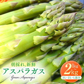 【ふるさと納税】令和8年産 アスパラガス 1〜2kg | グリーンアスパラ グリーンアスパラガス アスパラ 大容量 野菜 春野菜 朝採れ 新鮮 極太 国産 サラダ 天ぷら 炒め物 家庭用 数量限定 旬 特産 産地直送 北海道 津別町 送料無料
