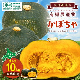 【ふるさと納税】【先行受付】令和8年産 有機栽培かぼちゃ 10kg | かぼちゃ カボチャ 南瓜 大容量 パンプキン 甘い 有機栽培 国産 産地直送 北海道 津別町 送料無料