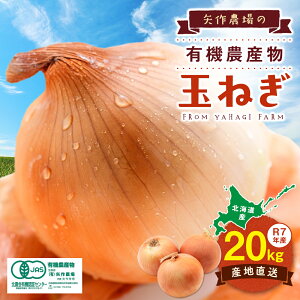 yӂ邳Ɣ[Łzߘa7NY L@_Y ʂ˂ 20kg (L)_ | ʂ˂ ܂˂ ^}lM ʔK e IjI Â L@͔| Y Yn J[ no[O ύ uߕ kC 