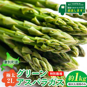 yӂ邳Ɣ[Łzߘa8NY AXpKXiɑ2Lj 1kg ʍ͔| א_ | O[AXp O[AXpKX AXp ɑ2LKi  t ̂ VN ɑ T_ VՂ u