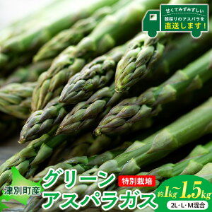 yӂ邳Ɣ[Łzߘa8NY AXpKX 1kg`1.5kg ʍ͔| א_ | O[AXp O[AXpKX AXp  t ̂ VN ɑ T_ VՂ uߕ { Y Y