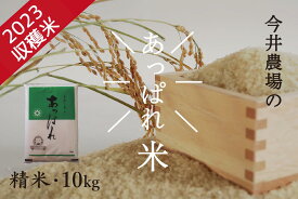【ふるさと納税】北海道産　あっぱれ米　10kg　（精米）　今井農場/016-03008-b01E