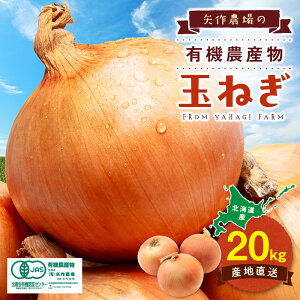 yӂ邳Ɣ[Łzystzߘa8NY L@͔|ʂ˂ 20kg | ʂ˂ ܂˂ ^}lM ʔK e IjI Â L@͔| Y Yn J[ no[O ύ uߕ kC Õʒ