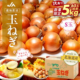 【ふるさと納税】令和8年産 数量限定 訳あり玉ねぎ S玉 5kg | わけあり 小ぶり たまねぎ タマネギ 玉葱 オニオン 大容量 甘い 国産 産地直送 サラダ向け ポトフ シチュー 煮込み 北海道 津別町 送料無料