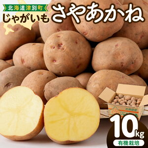 yӂ邳Ɣ[Łzyʌzߘa7NYst Ⴊi₠ˁj L@͔| 10kg | WKC  ₠ n鏒 e VN  ϕ RbP |egT_ |eT ۑ 