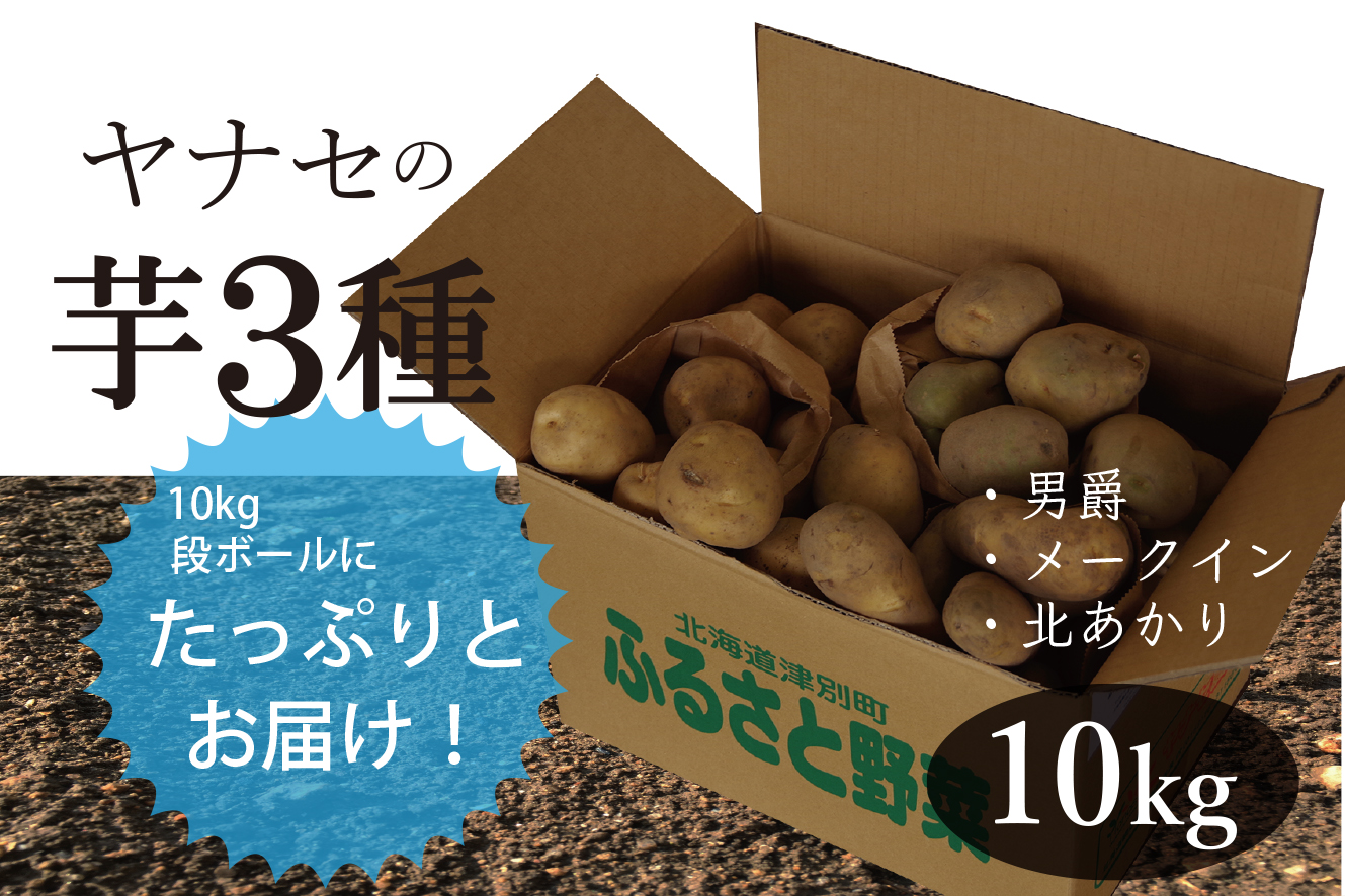 じゃがいも3種類 約10kg ヤナセ農園 010 B01b 北海道津別町