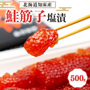 yӂ邳Ɣ[ŁzkCmY ؎q() 500g_  ؎q XWR  Ђ CN   lC   yzsnFEꌧzy1213308z