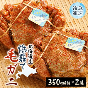 yӂ邳Ɣ[ŁzkCY@l䥂ŖуKj@350gO×2_ уKj ъI Jj I kC 2 Zbg Ⓚ ł lC    Mtg Iz[cN Kj }Ⓚ yzs