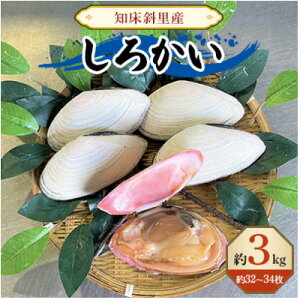 yӂ邳Ɣ[ŁzmΗY@납(32`34)3kgyzsnFEꌧzy1294204z