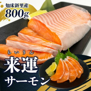 yӂ邳Ɣ[ŁzVuhu^T[(800g)vmΗY̓VRT[BD㊈߂őNxQ!yzsnFEꌧzy1434916z