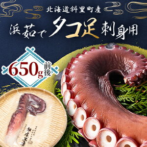 yӂ邳Ɣ[Łzl䥂 ^Rhgp 650gO1{×1pbN ~EosgpyzsnFEꌧzy1456820z