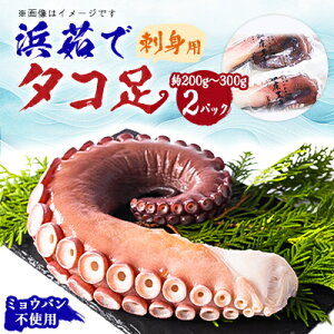 yӂ邳Ɣ[Łzl䥂 ^Rhgp 200g`300g(1{)×2pbN Ⓚ ~EosgpynHizyzsnFEꌧzy1525867z