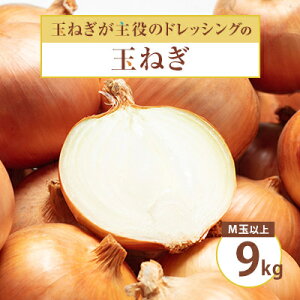 yӂ邳Ɣ[Łzuʂ˂̃hbVOv̋ʂ˂ 9kg Mʈȏ ʁyzsnFEꌧzy1534094z