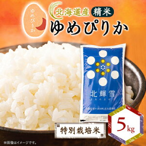 yӂ邳Ɣ[ŁzykCYz߂҂肩 5kg qʍ͔|ār āy1548559z