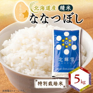 yӂ邳Ɣ[ŁzykCYzȂȂڂ 5kg qʍ͔|ār āy1548573z