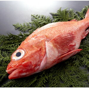 yӂ邳Ɣ[ŁzypϗpEⓀz kCY@LL(߂)1@300gO ς kCΗYyzsnFEꌧzy1677692z