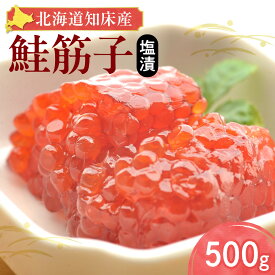 【ふるさと納税】【北海道知床産】鮭筋子(塩漬) 500g すじこ 筋子 スジコ 鮭 塩漬け 海鮮 魚介 魚卵 人気 美味しい おかず 【配送不可地域：離島・沖縄県】
