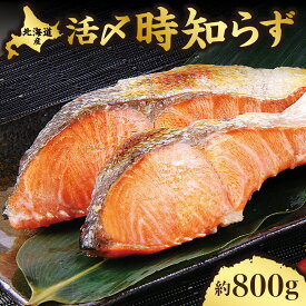 【ふるさと納税】活〆 時知らず 天然 鮭切身 中塩仕込 10切(2切160g×5パック) 800g _国産 北海道産 さけ シャケ トキシラズ 切り身 お魚 活締め 海鮮 高級魚 ギフト 北海道 斜里町【配送不可地域：離島・沖縄県】