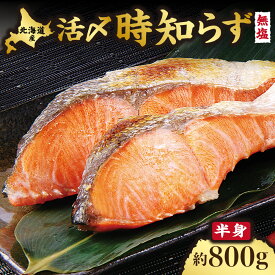 【ふるさと納税】活〆 時しらず 鮭切身 無塩 天然 半身 800g 小分け 頭なし 下処理済み トキシラズ 切り身 サケ シャケ 知床 オホーツク 高級魚 塩なし 活締め 北海道 斜里町【配送不可地域：離島・沖縄県】