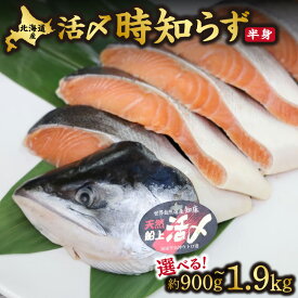 【ふるさと納税】活〆 時知らず鮭 切り身 中塩仕込 天然 半身 小分け(900g~1900g)【配送不可地域：離島・沖縄県】
