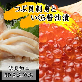 【ふるさと納税】国産ツブ貝(刺身用)90g×3パック【現地加工品】と鮭卵いくら醤油漬け200g×1箱【配送不可地域：離島・沖縄県】