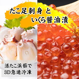 【ふるさと納税】いくら醤油漬け200gとたこ足刺身用400g 北海道産 海鮮 海産品 海鮮丼の具 お刺身 魚卵 ikura 蛸足 セット オホーツク 北海道 斜里町【配送不可地域：離島・沖縄県】