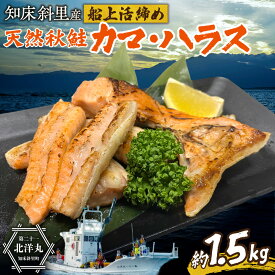 【ふるさと納税】【先行受付】〈数量限定〉 知床斜里産 天然秋鮭カマ&ハラス 1.5kg 船上活締め 鮭 シャケ 切身 切り身 北海道産 国産 無塩 無添加 オホーツク さけ 北海道 斜里町【配送不可地域：離島・沖縄県】