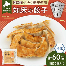 【ふるさと納税】【北海道産】冷凍 豚肉 餃子 60個 知床斜里産「サチク麦王」使用_ サチク麦王 豚肉 餃子 冷凍 北海道 斜里町 肉汁 キャベツ 玉ねぎ ニラ 手作り 強火 焼き餃子 おかず ストック 美味しい 北海道 斜里町【配送不可地域：離島・沖縄県】
