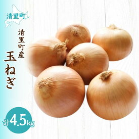 【ふるさと納税】【先行予約】清里町産玉ねぎ約4.5kg（2025年10月中旬より順次発送） 【 ふるさと納税 人気 おすすめ ランキング 野菜 玉ねぎ たまねぎ タマネギ 新鮮 北海道 清里町 送料無料 】 KYSB036