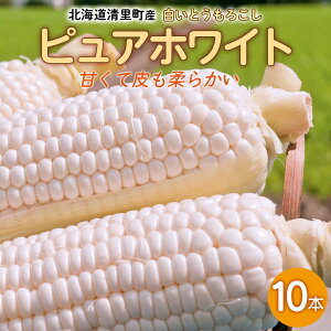 yӂ邳Ɣ[ŁzY Ƃ낱 sAzCg 10{ y ӂ邳Ɣ[ lC  LO Ƃ낱 gERV sAzCg R[  10{ Â  kC 