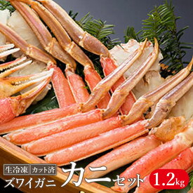 【ふるさと納税】生冷凍 カット済 ずわい蟹 カニセット 1.2kg【03058a】