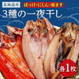 【ふるさと納税】開き3枚セット(ほっけ・にしん・桜マス)_ ほっけ にしん 桜マス 開き セット 干物 人気 美味しい 北海道産 真空パック 焼き魚 無添加 網走加工【配送不可地域：離島】【1683002】