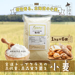 yӂ邳Ɣ[ŁzkCY utv͏6kgi1kg×6܁jy01011z