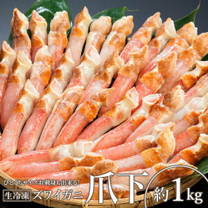 yӂ邳Ɣ[ŁzЂƂTCY hgoIⓀYCKj܉ 1kgy0303502z