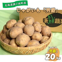 楽天市場】じゃがいも 20kg（品種（ジャガイモ）男爵芋）の通販
