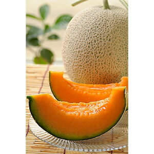 �y�ӂ邳�Ɣ[�Łz�y2026�N7�����{�ȍ~�����z�k�C���@����˂��Ճ�����5�� �y�z���s�n��F�����E���ꌧ�z�y1112607�z