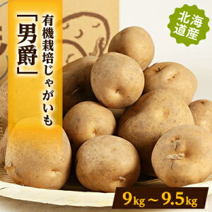 yӂ邳Ɣ[ŁzL@͔|Ⴊuj݁v@9kg`9.5kgyzsnFEꌧzy1334700z