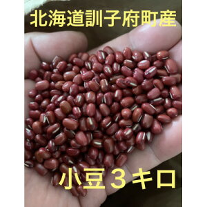 yӂ邳Ɣ[Łz_̏3kg(1kg×3)y1378527z