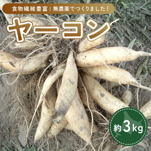 yӂ邳Ɣ[Łz [R 3kg y ӂ邳Ɣ[ lC  LO  [R _ kC u˒  z OTE001