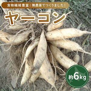 yӂ邳Ɣ[Łz [R 6kg y ӂ邳Ɣ[ lC  LO  [R 6kg _ kC u˒  z OTE002